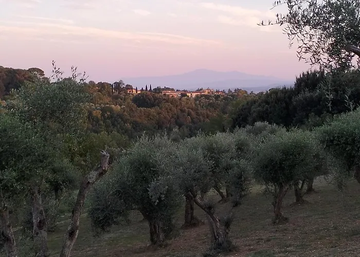Agli Olivi Di Marciano