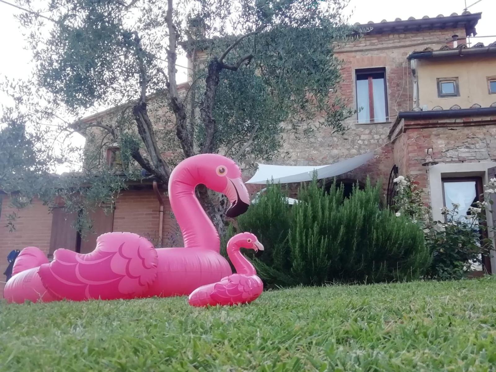 Agli Olivi Di Marciano Apartment
