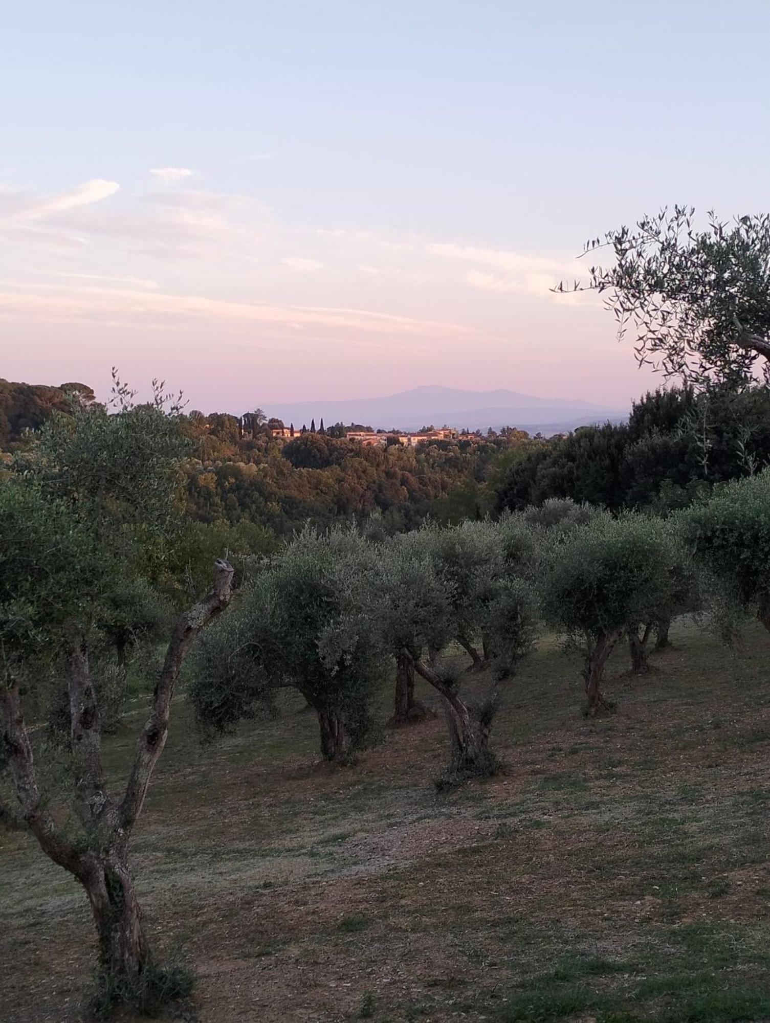 Agli Olivi Di Marciano Apartment