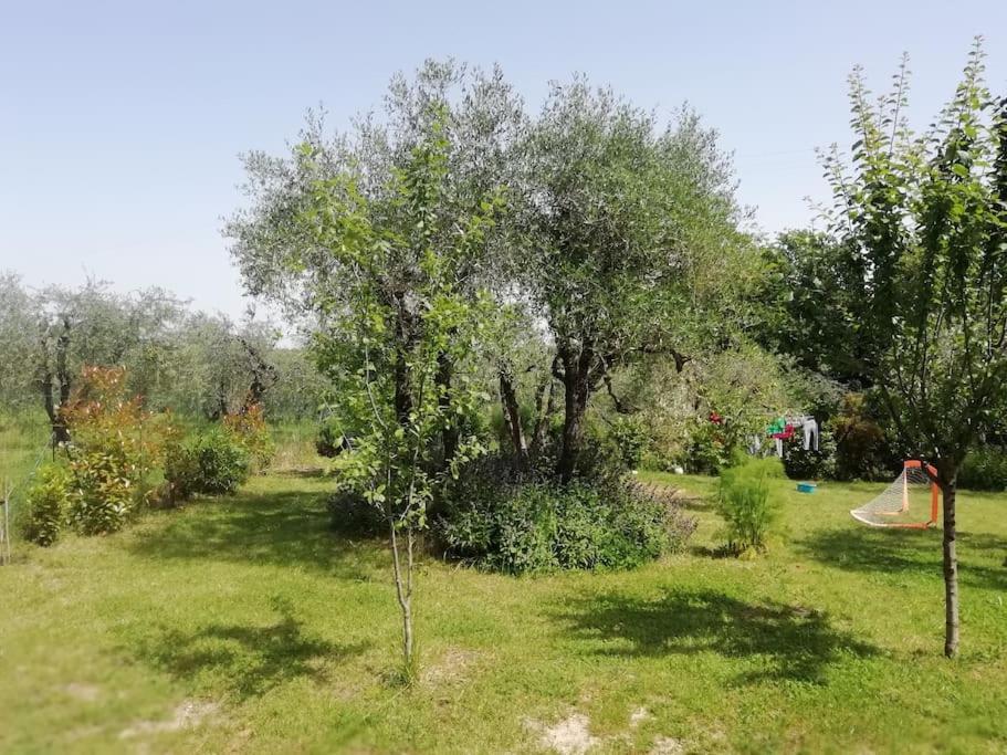 Apartment Agli Olivi Di Marciano *